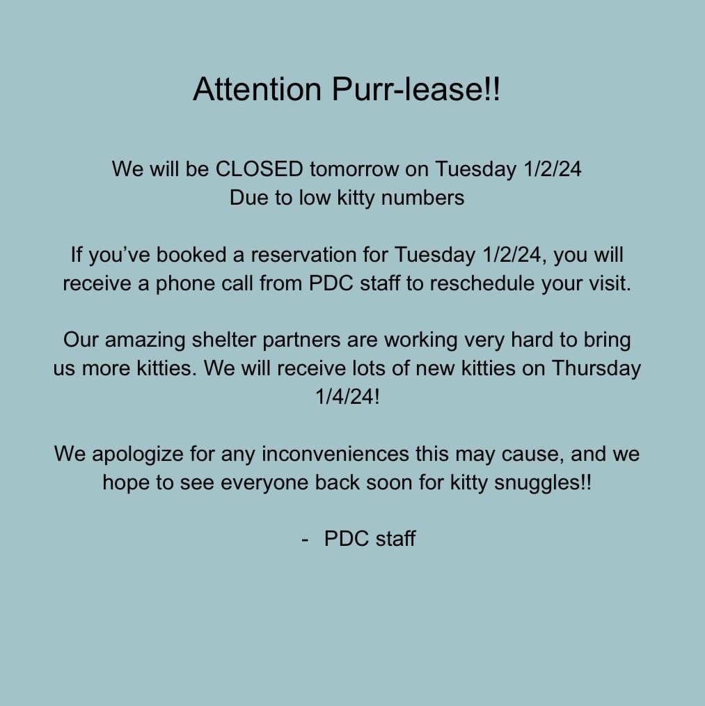 Purrfect Day Cafe COVINGTON, KY ONLY!