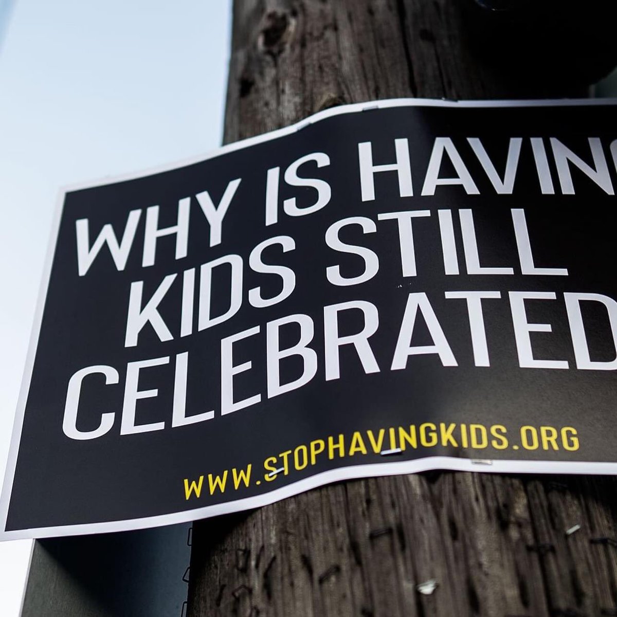 StopHavingKids_'s tweet photo. https://t.co/TNvKW4ViZF