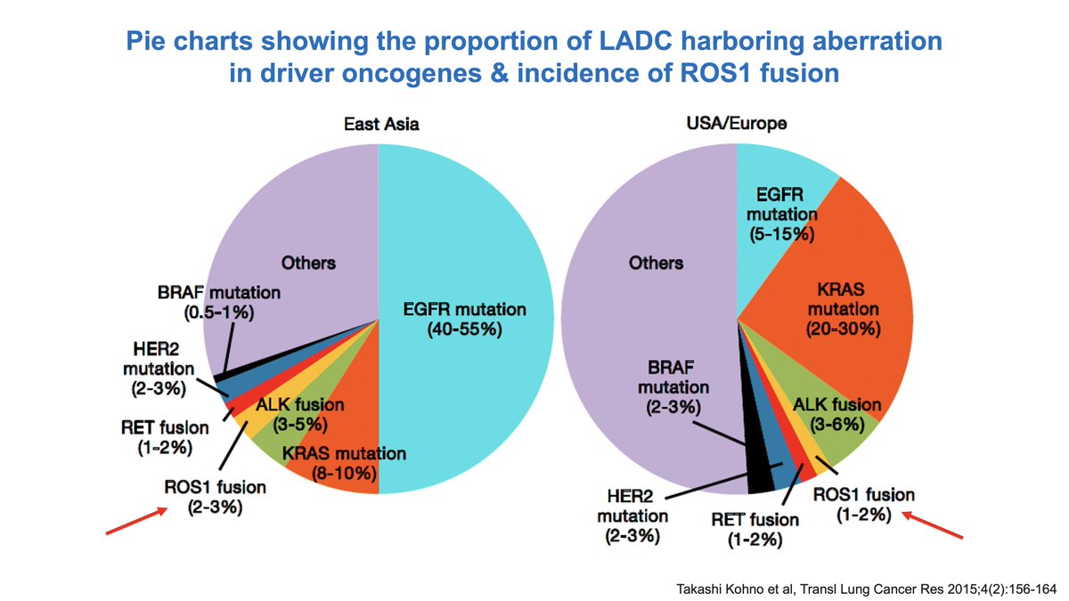 Katsuaki Maehara 🇯🇵 tweet media