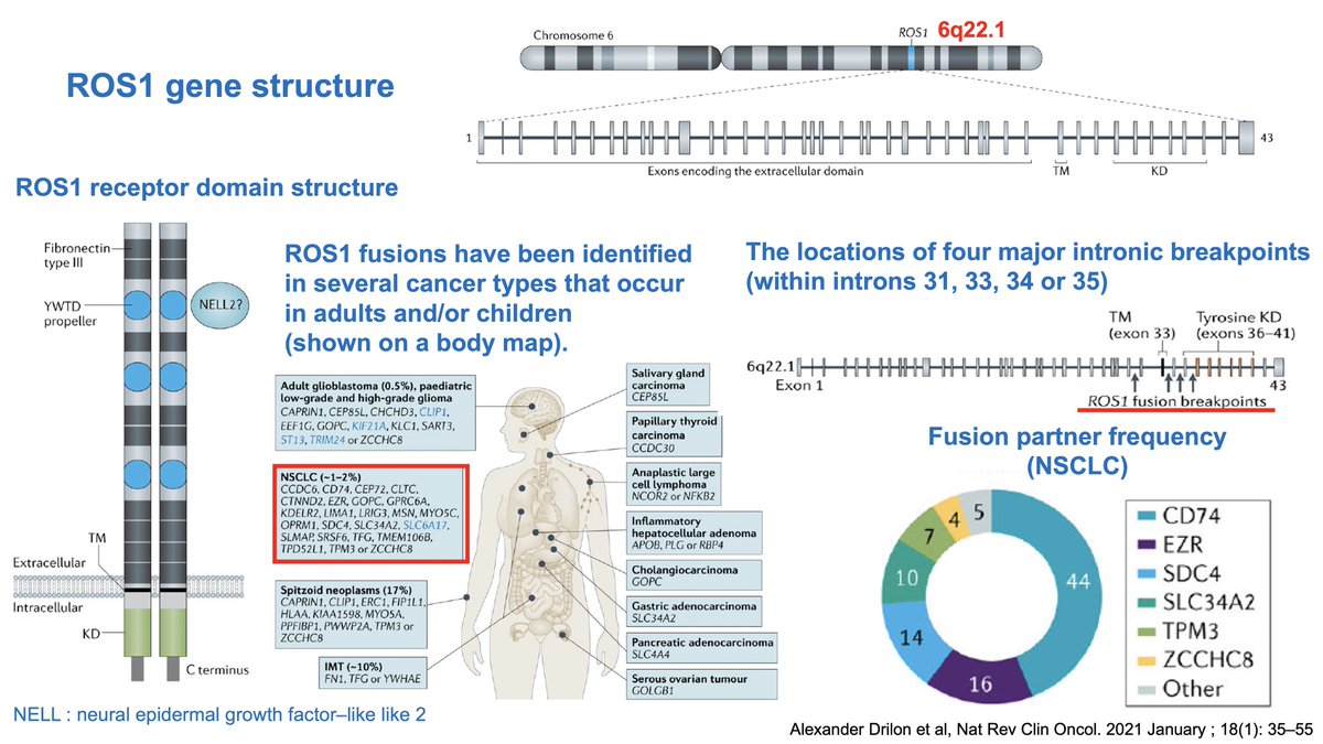 Katsuaki Maehara 🇯🇵 tweet media