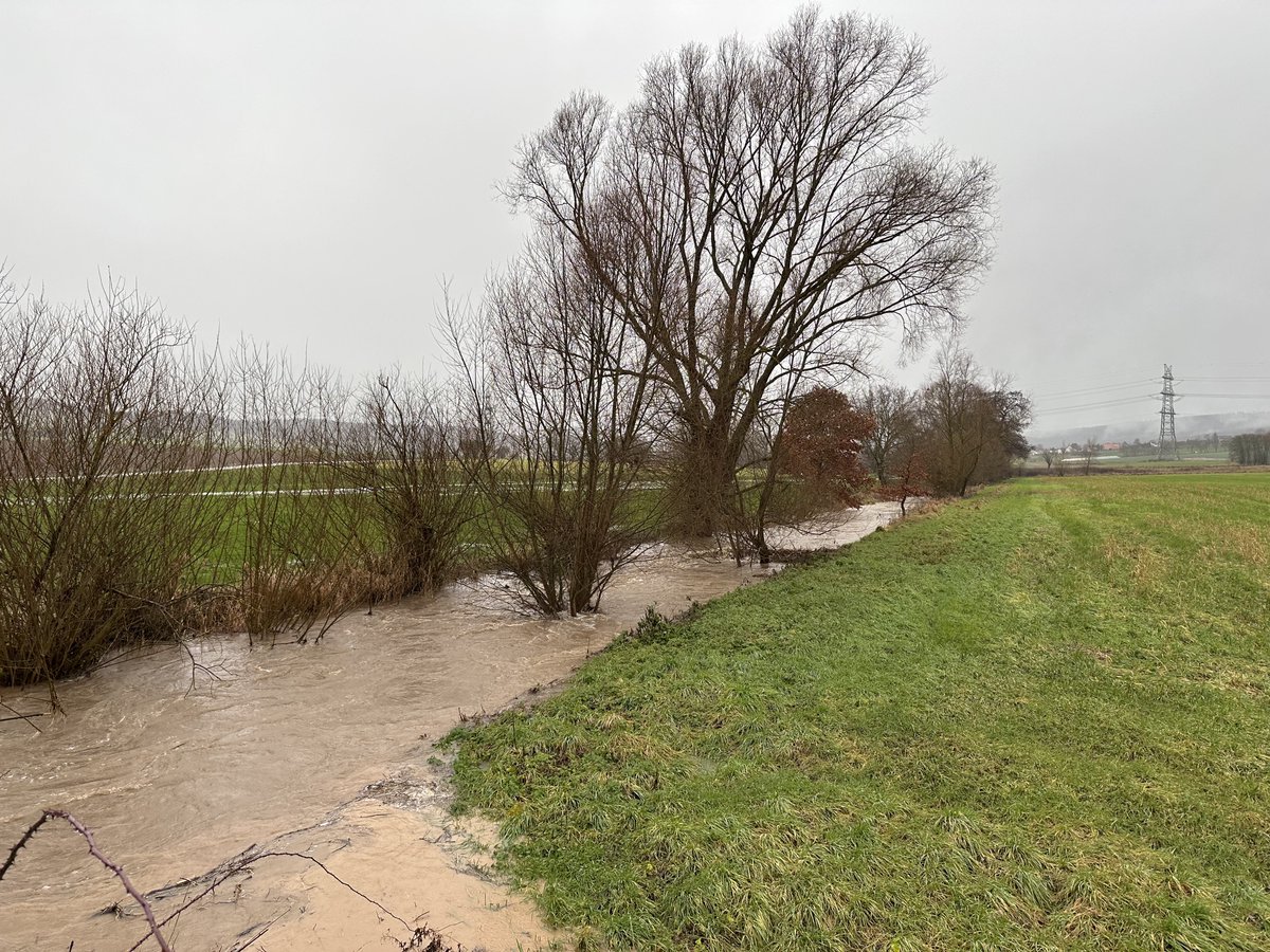 Ralph Eikenberg tweet media