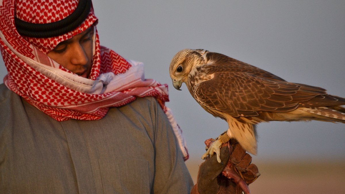 AymanMatNews's tweet image. Kuwaitis In Iraq On Hunting Trip Urged To Abide By Rules..

#Kuwaitis visiting #Iraq for hunting purposes are advised to comply with local laws and regulations, as stated by the Foreign Ministry on Tuesday, this advice comes a week after a national was found dead during a hunting