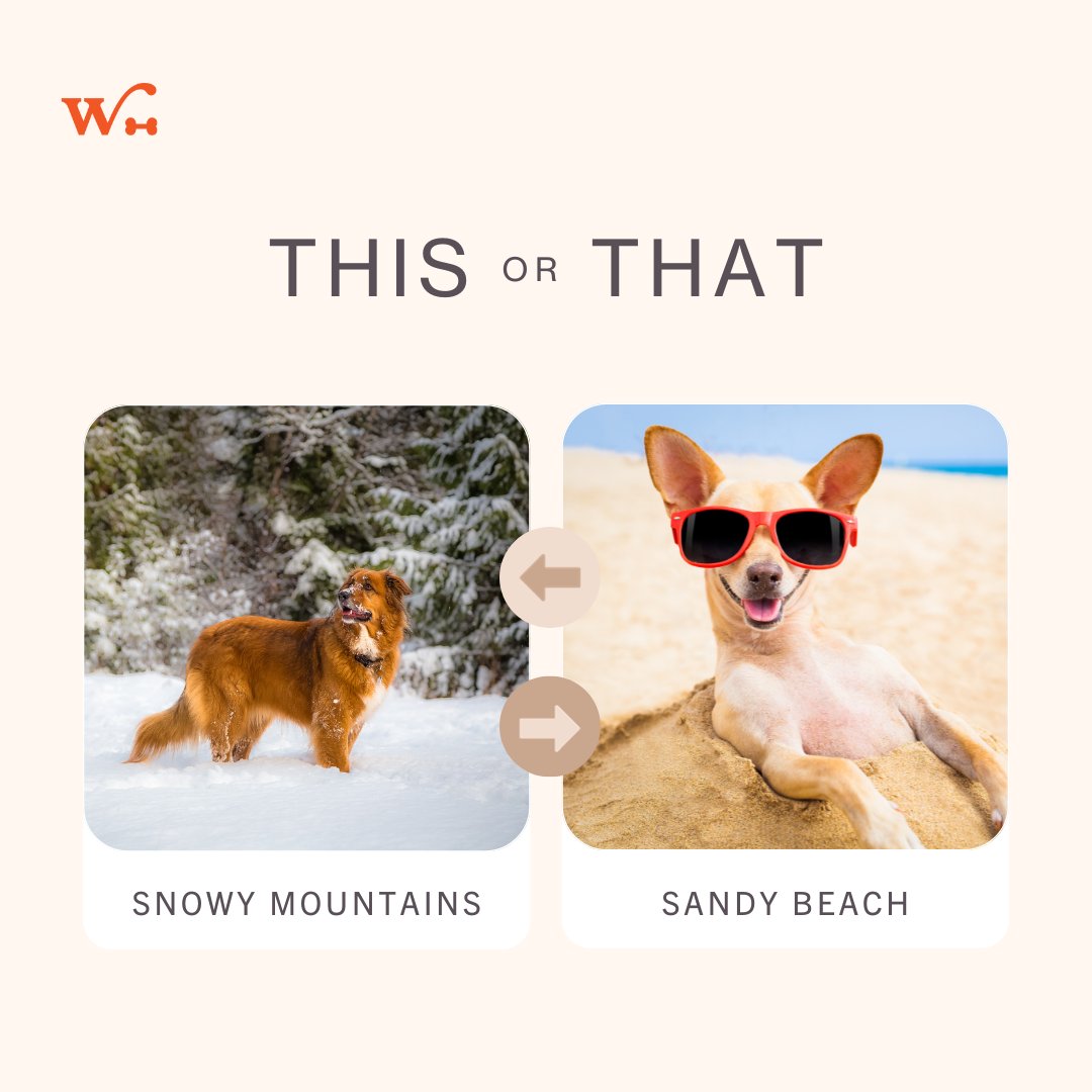 Wishbone_Pet's tweet image. Snowy peaks or sandy shores – where would your pup rather be? ❄️🏔️🐾☀️🏖️

#AdventureDogs #WinterVsSummer #wishboneinsurance #petcare #petlovers #petinsurance #wishbonepetinsurance #wishbonepets
