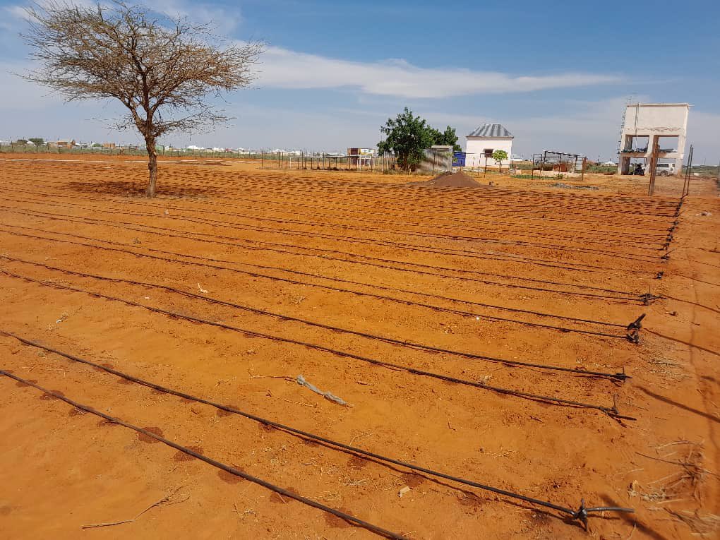 musse408's tweet photo. Abudwak🌱🚜 ✋
Kooxdeena farsamada ayaa magaalada caabudwaak ka hirgaliyay farsamada waraabka tifqinta ( Drip Irrigation 💧) , Tani waxay calaamad u tahay isbeddelka muhiimka ah ee kacaanka habka aan u wajaheyno beeraha 🌿💦 .
#HecterAgriTech
#DripIrrigation . 🚜💧 https://t.co/u8tJNguctq