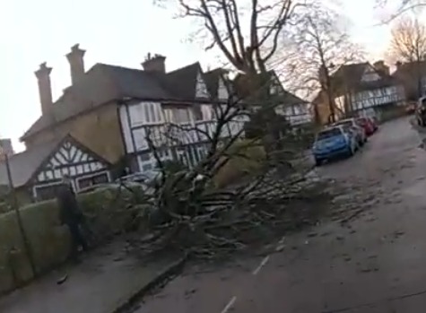 While out on patrol today officers PC Delargy & PC Khan conducted 3 stop & searches today under Section 23 the Misuse of Drugs Act. The team also came across a fallen tree in Princes Gardens in which we managed to break a few branches off of to allow safe passage for vehicles.