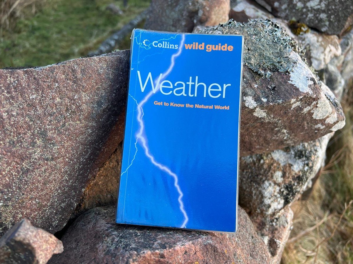 eat sleep wild tweet media