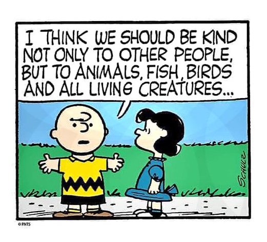 Irena Buzarewicz (@irenabuzarewicz) on Twitter photo 