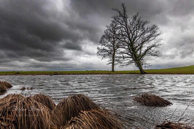 ShelbyableXX's tweet image. GM people
It&apos;s been stormy here for days. I hope it goes away soon.
wish you a great day!
#Canon #TwitterNatureCommunity