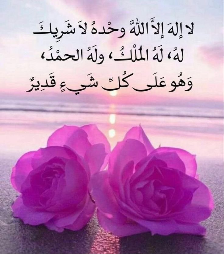 merah (@merah75653032) on Twitter photo 