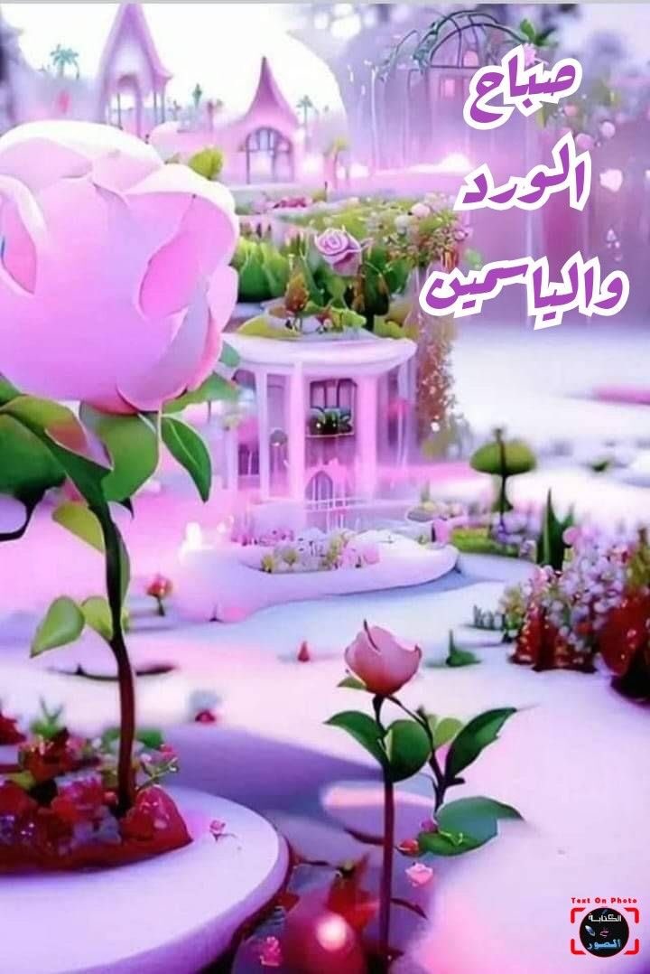 merah (@merah75653032) on Twitter photo 