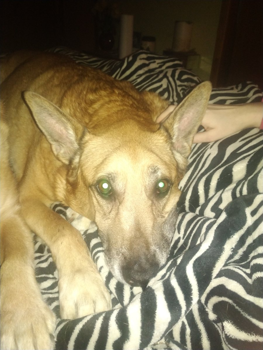 Redneck 🟥🟩🟨 tweet media