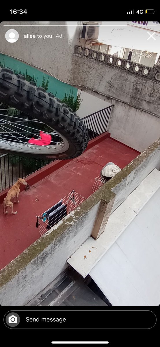 RaquelMait's tweet image. Recibido x WhatsApp: Perro en situación de Maltrato, no alimentan hace meses, está cada día peor.Esto es Villa Urquiza, Olazabal 5142, CABA. Se agradece difunsion para poder llegar a la casa de esta gente y ver por qué el animal se encuentra en esa situación
DENUNCIEN EN FISCALIA