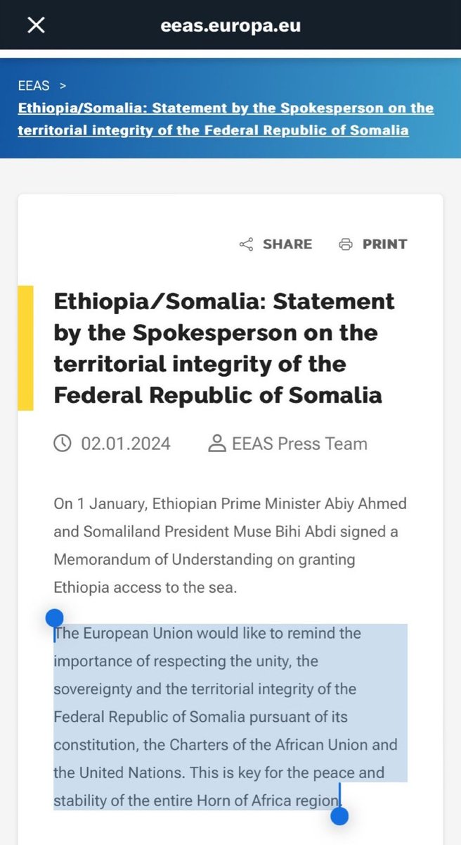 I find it surprising that the European Union is safeguarding Somali sovereignty, while my own African neighbors seem to be intent on infringing upon it. My African brothers are trying to play the role of colonizers by dividing our country, while the ex-colonialists are protecting