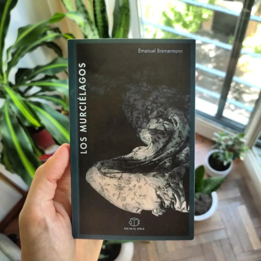 Emanuel Bremermann tweet media