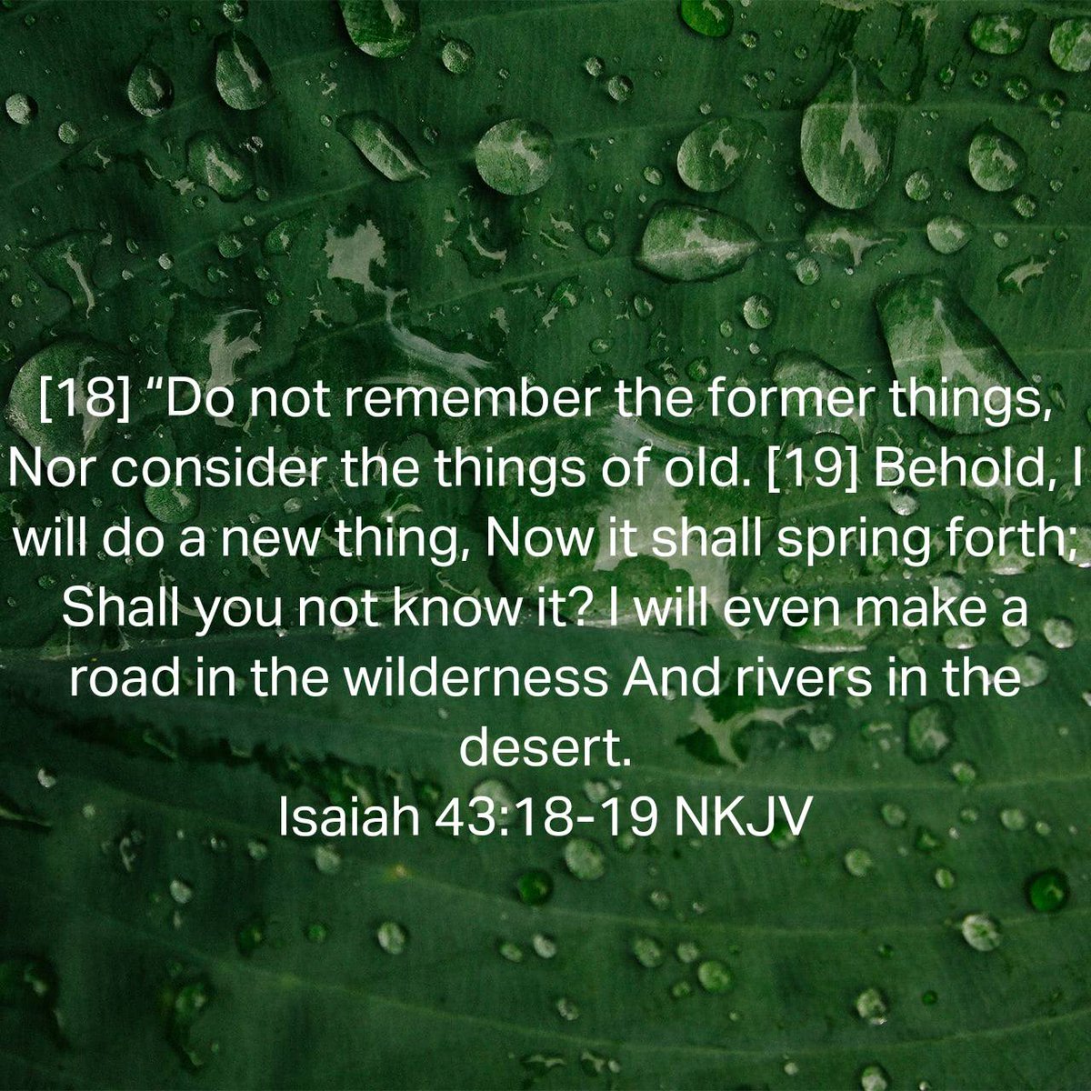 Happy New Year! May 2024 be all you hope for and more... #Happ