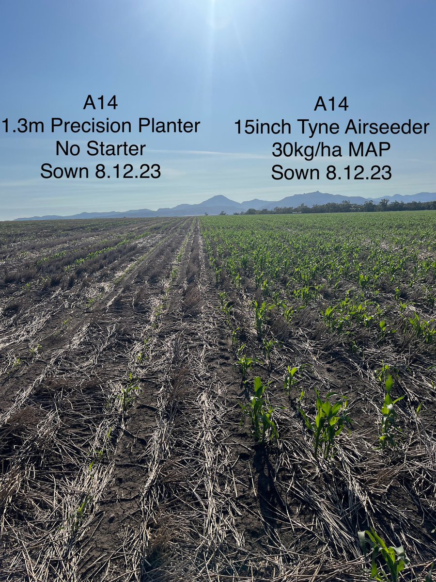 OutlookAg's tweet photo. Happy New Year!!!
#cropnutrition #starterfert https://t.co/wzuSB5bX68