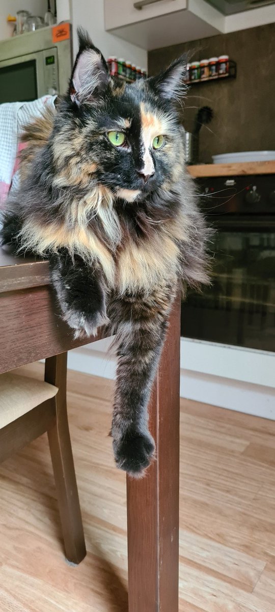 ... look at her now 😍