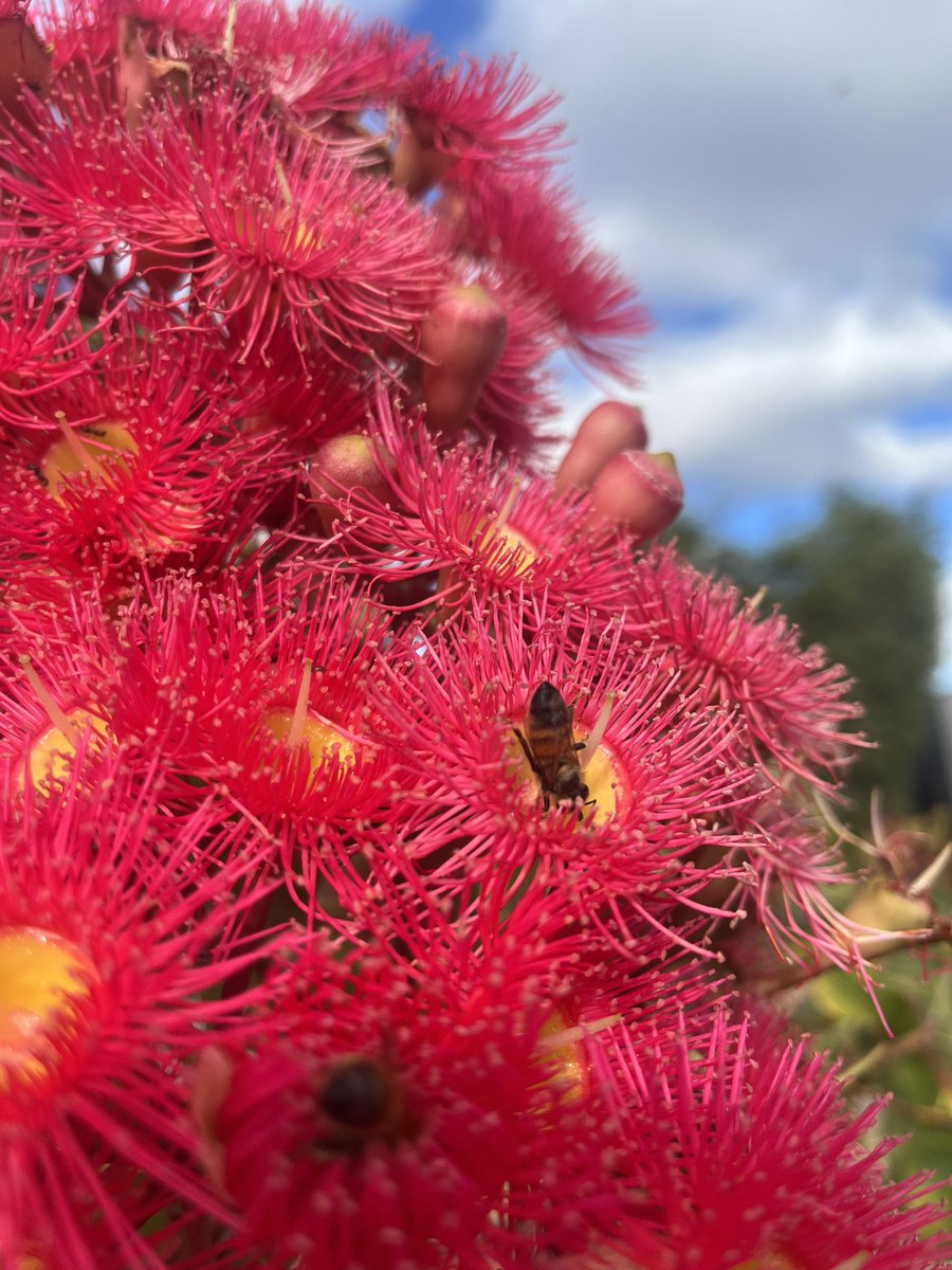 kay greenacre (@maminkwink) on Twitter photo 