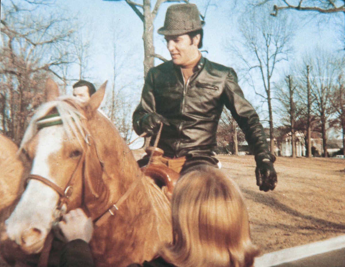 VisitGraceland's tweet photo. On January 5, 1967, Elvis bought a horse that would become his favorite, a golden palomino Quarter Horse named Rising Sun. https://t.co/KKSd6JjiLX