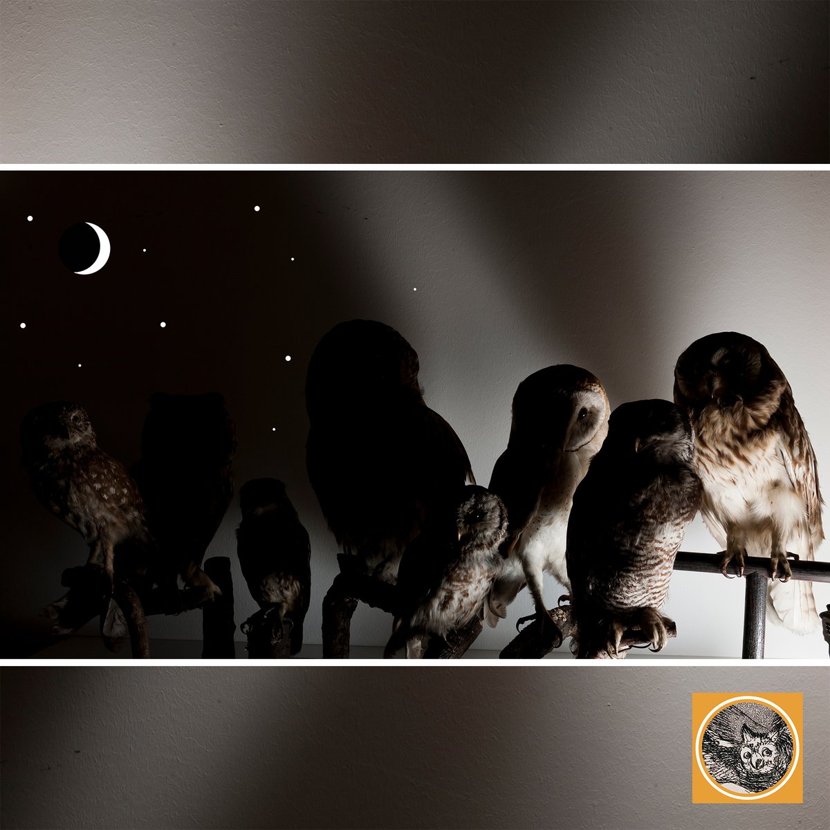 ALLES GUTE ZUM NEUEN JAHR 2024 wünscht das Team von Portal #Ideengeschichte !