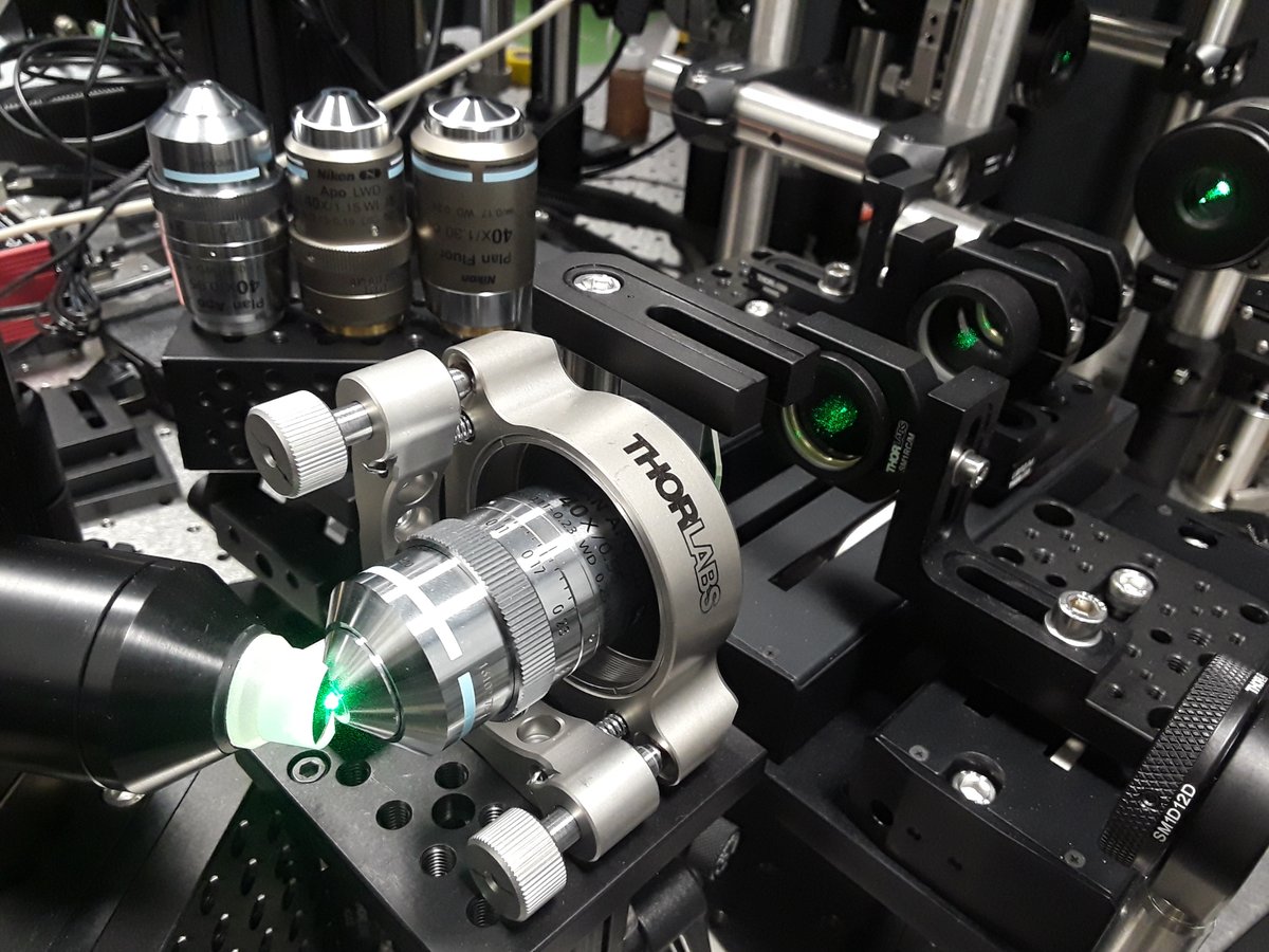 Alfred Millett-Sikking (@amsikking) on Twitter photo #AIRR microscopy has arrived! Use any immersion objective (including air!) to look into any sample refractive index! Built here with air, water and oil objectives, and for a sample RI in the range 1.33-1.51 (zoom lens). Could this be the fastest/most versatile light-sheet ever? #AIRR microscopy has arrived! Use any immersion objective (including air!) to look into any sample refractive index! Built here with air, water and oil objectives, and for a sample RI in the range 1.33-1.51 (zoom lens). Could this be the fastest/most versatile light-sheet ever?
