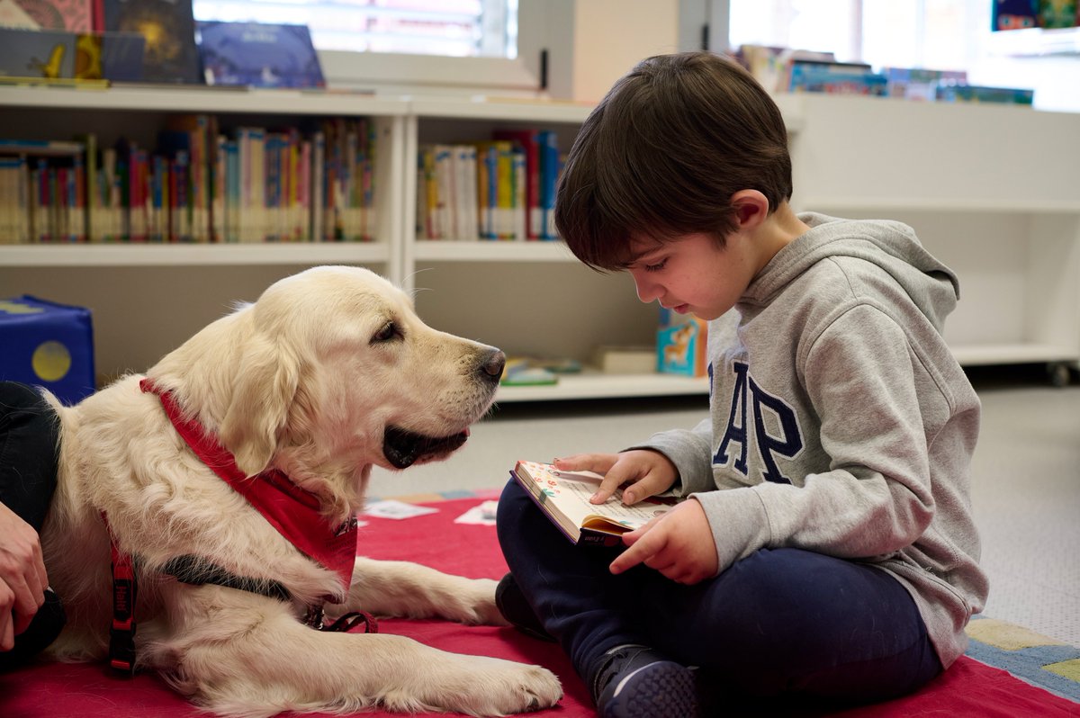 plasaosa's tweet photo. Diego, de #Cintruénigo (Navarra), lee delante de 'Klaus', un golden retriever y su dueña Elizabeth Francés, para mejorar en sus problemas en el habla y la lectura.

© Pablo Lasaosa / @el_pais https://t.co/1VlCv2wzMh