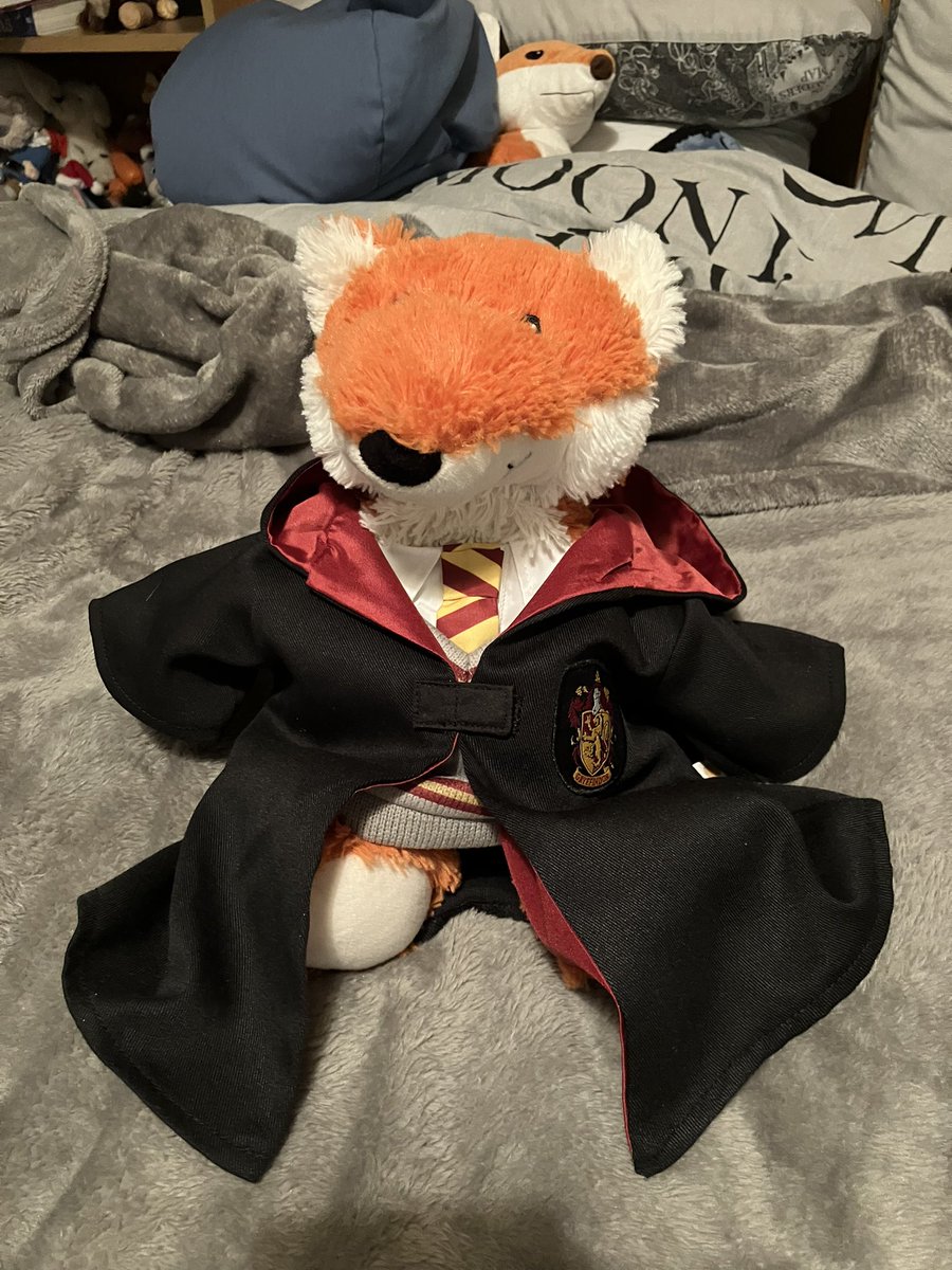 NuttyAndMatisse's tweet photo. And Port got clothes too! Apparently now he’s Hairy Porter (we don’t like to tell Mummy but we is starting to get jealous of all this attention on the others) https://t.co/2WJhB5SNAH