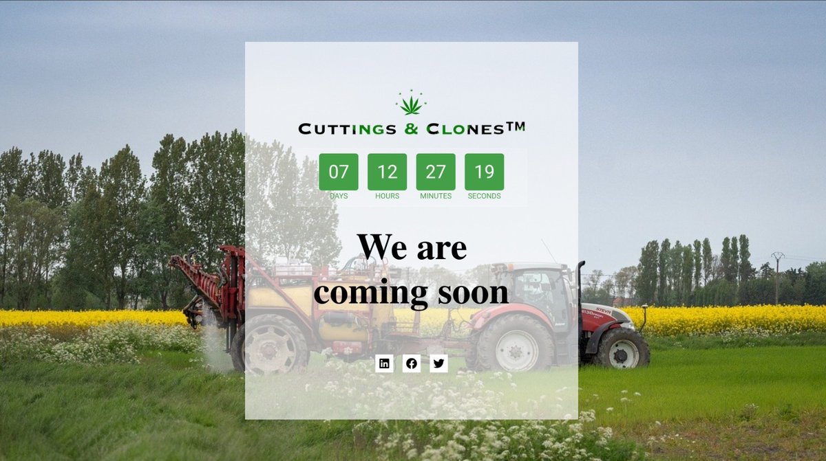 CuttingsClones's tweet photo. https://t.co/DYO1e4OmER

#launching #plants #Cuttings&amp;Clones™️🌱

🦾🌱 https://t.co/v23Z9YWQlx