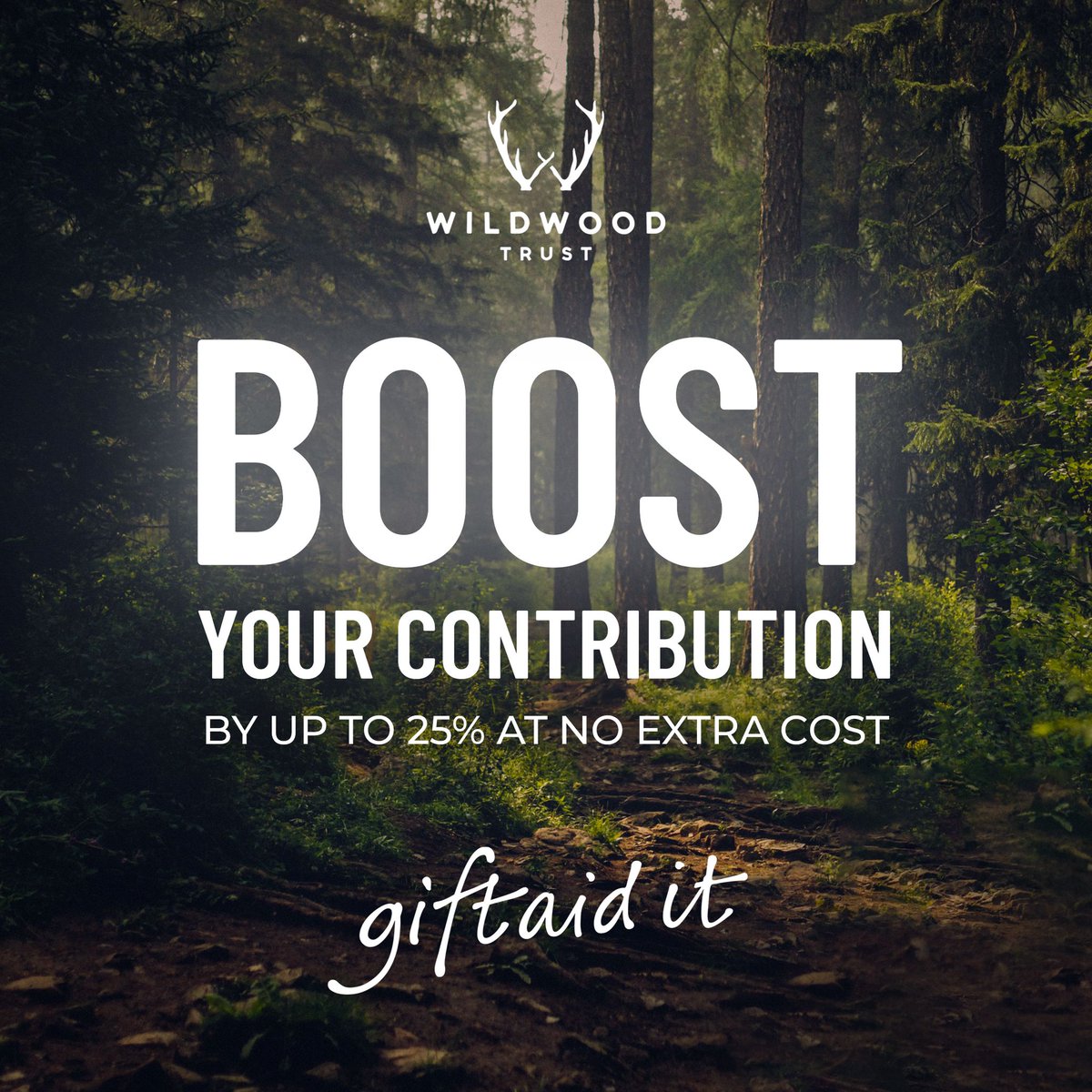WildwoodTrust's tweet image. Why select Gift Aid? 🤔

When selecting Gift Aid, Wildwood Trust can receive a contribution of 25% of your total ticket price, donation or membership...at no extra cost to you! 

Let's make your donation stretch that little bit further 🙂

#wildwoodtrust #giftaid