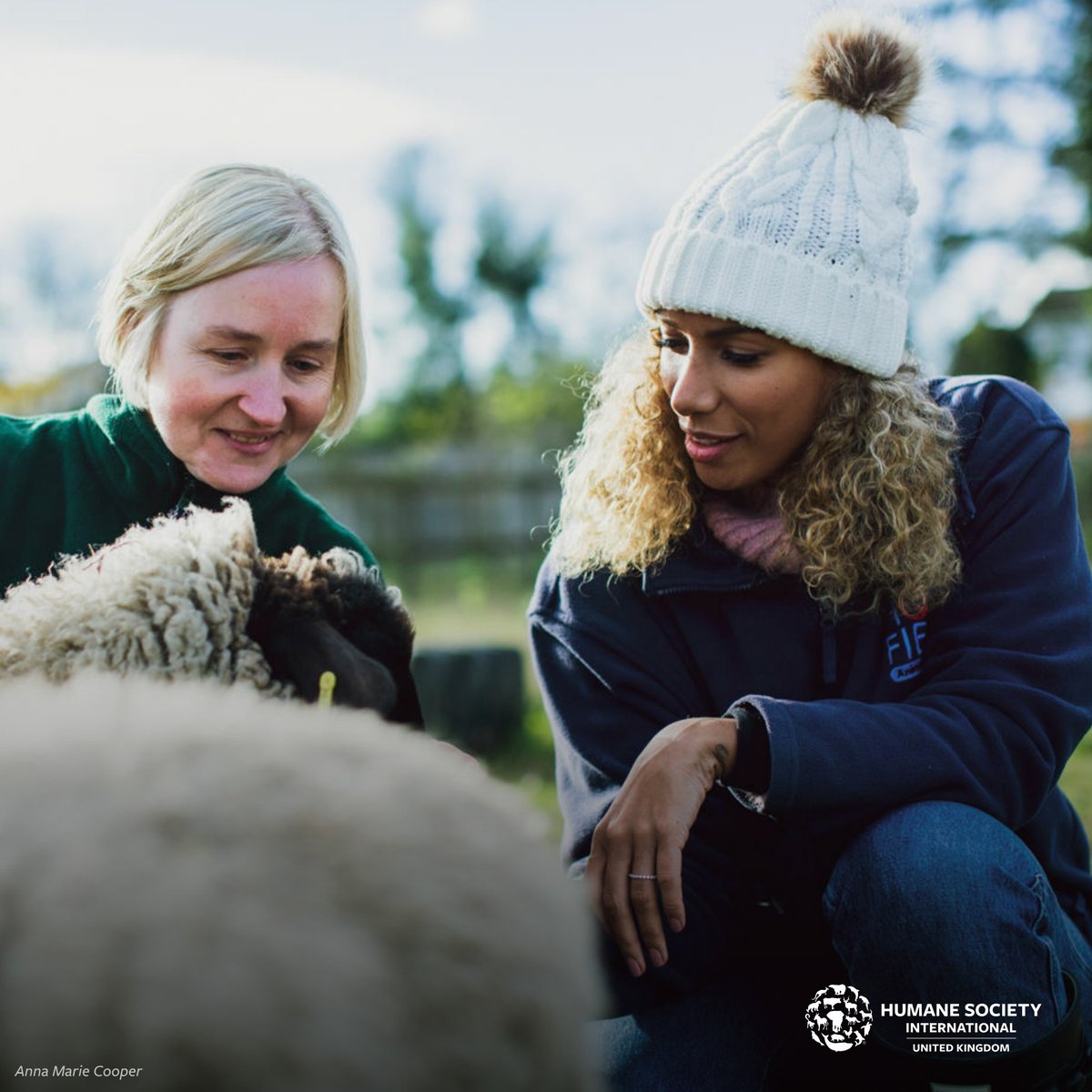 Humane World for Animals UK tweet media