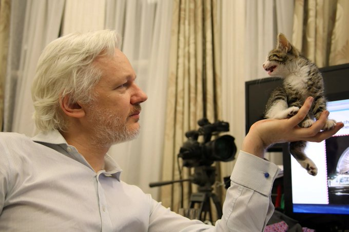 Michell45064244's tweet photo. “In no sane world should #JulianAssange be in a prison cell for revealing concrete evidence of state crimes.” - #StellaAssange https://t.co/FQQl24Fj59