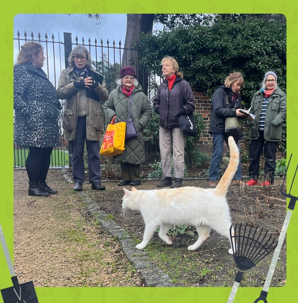 Our team of volunteer gardeners were bravely carrying out a plant audit today despite the rain and wind. (There was, of course, help from our fury friend, Casper.) Our walled gardens are open ⏰ 10am - 4pm. 📆 Monday - Saturday. 🎟️ Free entry.