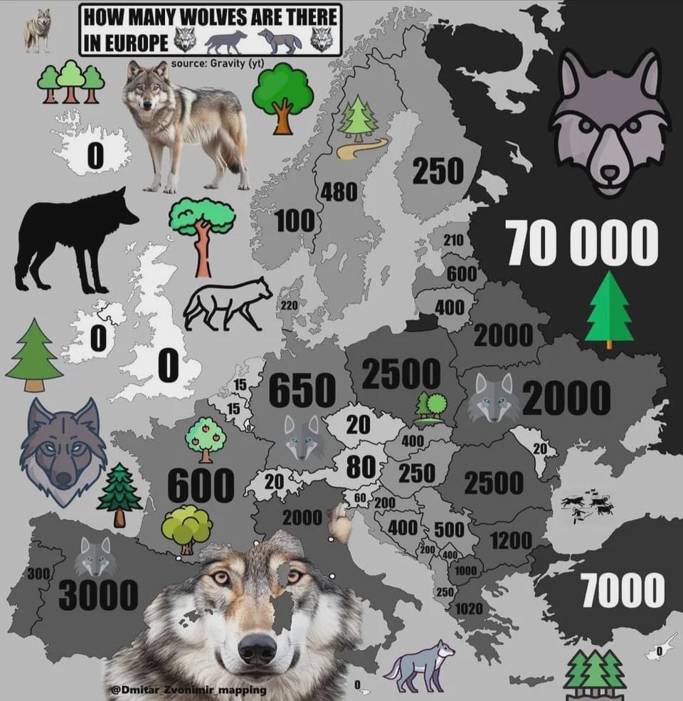 We are rapidly approaching that dangerous period called “the wolf gap ...