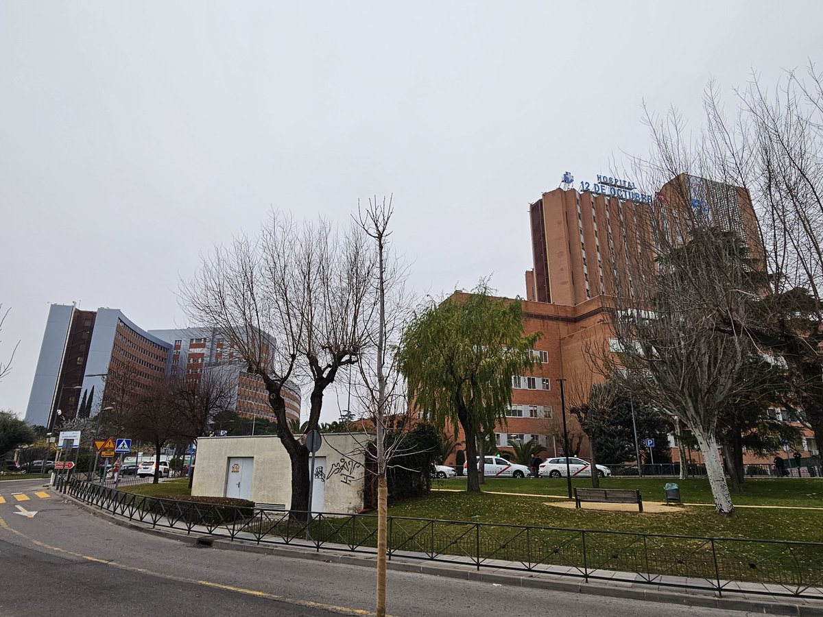 New position as medical oncologist in the melanoma and urological malignancies unit at Hospital 12 de Octubre!