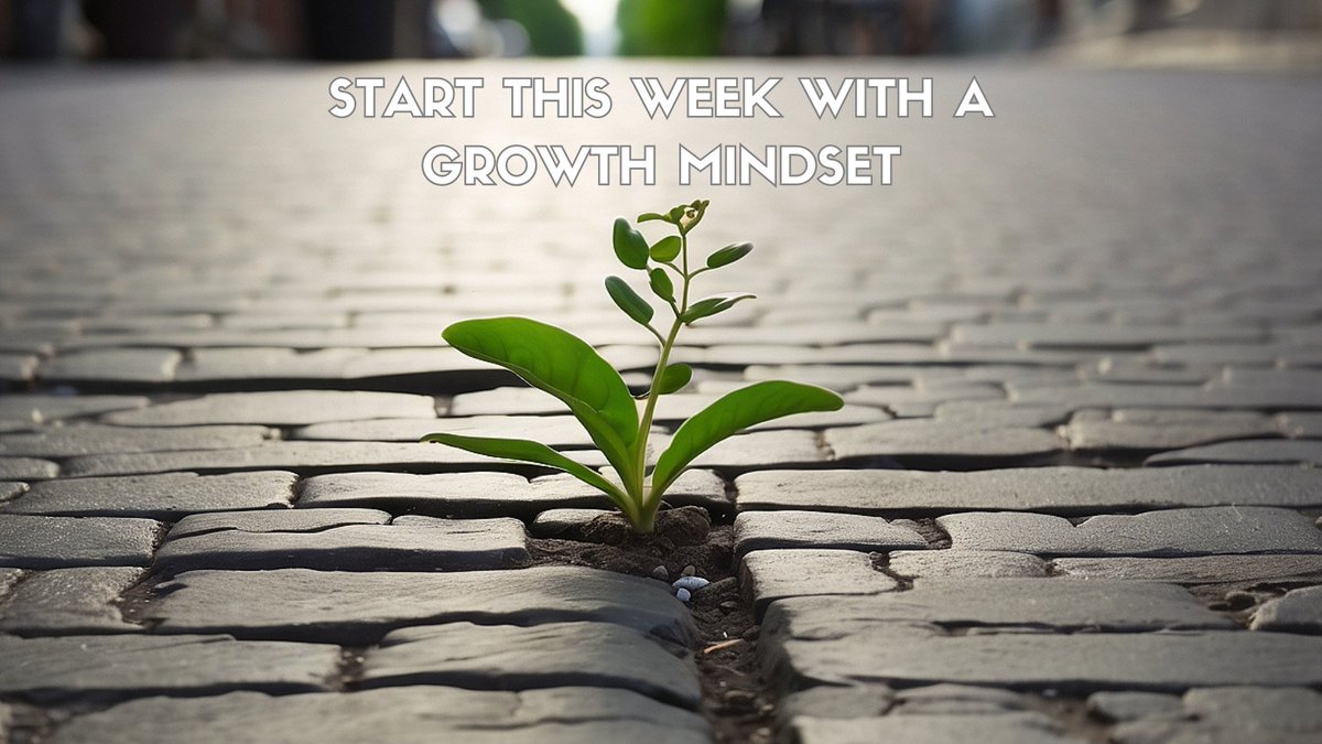 Coffey in the Classroom tweet media