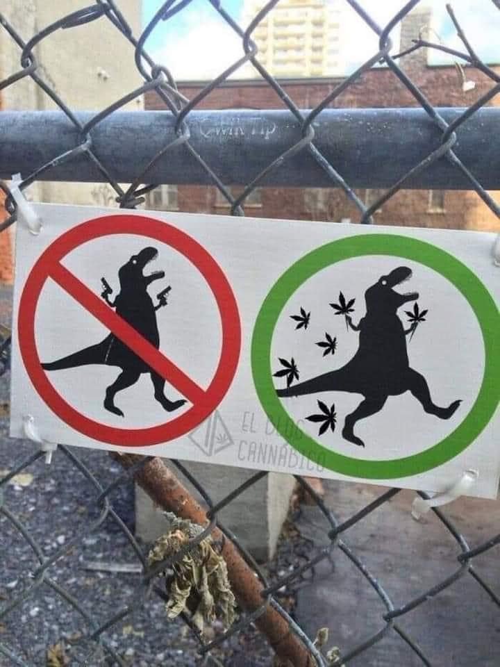 Chapo Do Chong (@chapodochong) on Twitter photo 