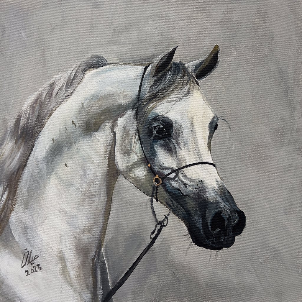 الوان أكريليك على كانفس 
مقاس 50x50