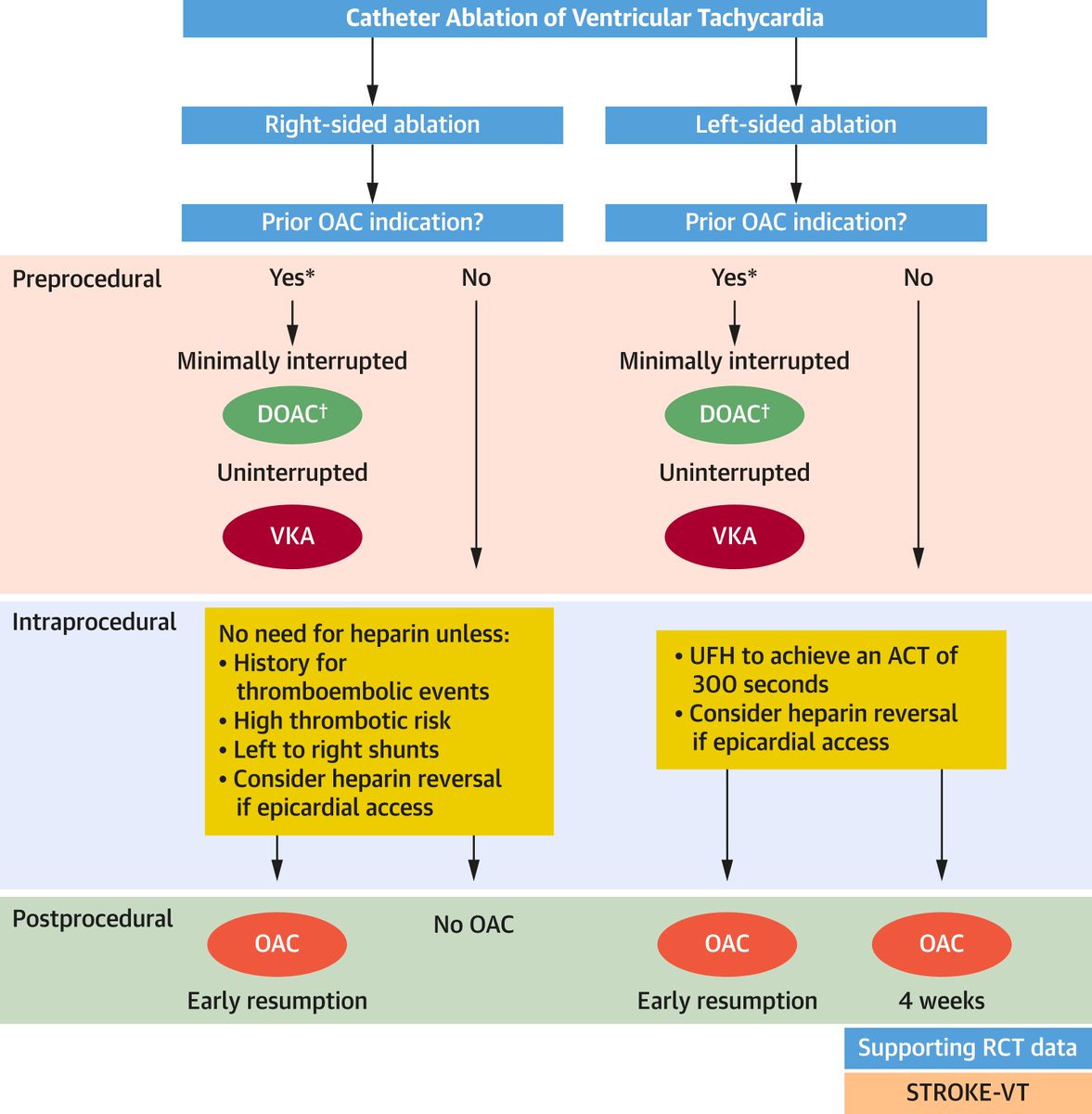 📌#Antithrombotic 💊 for 👥 Undergoing Cardiac Electrophysiological & Interventional Procedures💉

Very relevant topic‼️, let it 🔁&❤️‼️

#StateOfTheArt #Review #TAVR #ePeeps #EP #Anticoagulation #DAPT #LAAO