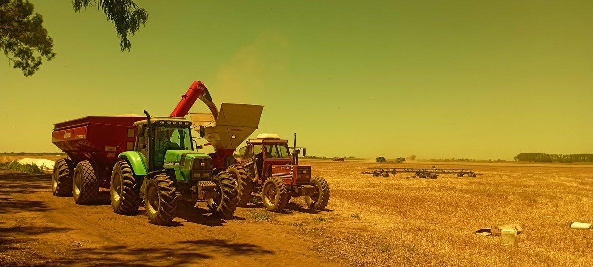 Dale y dale con la trilla..