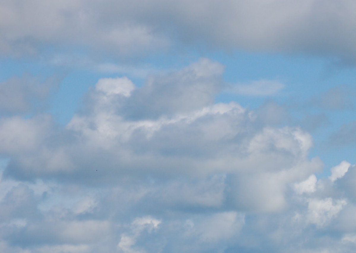 Dear colleagues and friends, who is interested joining the SM sky..? I have 3 codes to share. Pls send DM when interested. I‘m happy to be there.