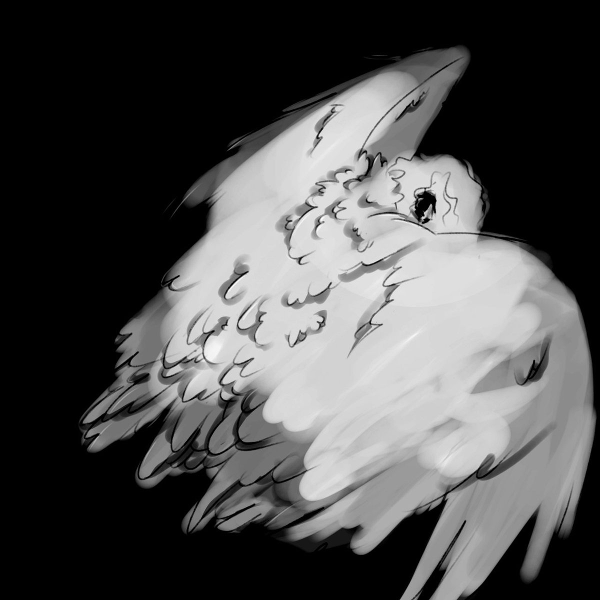 if it's not on the menu, then don't invite me to the restaurant.
#mandelacatalogue #gabriel