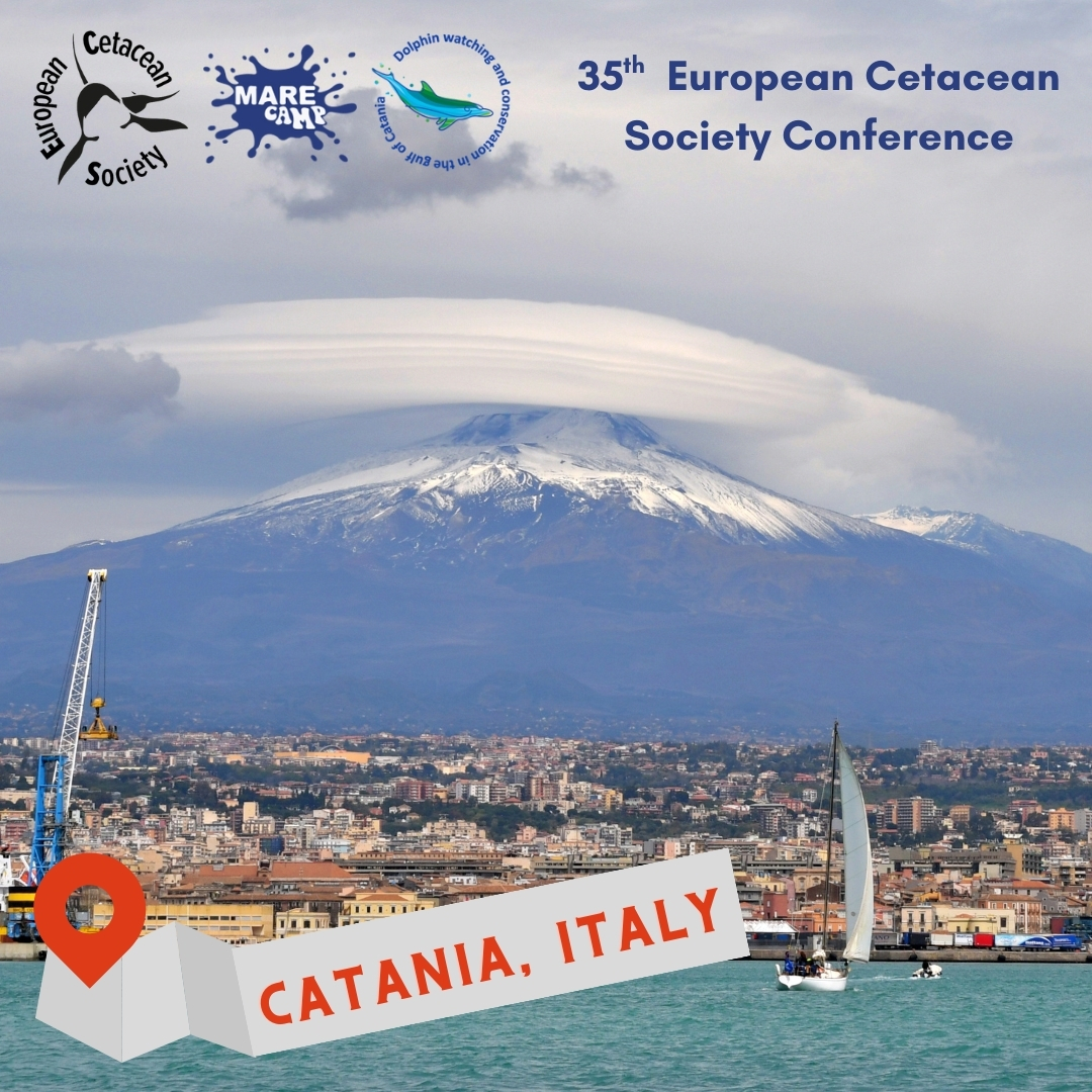EuroCetSoc's tweet photo. During the #35thECSConference, we're gathering in #Catania! This stunning city rests in the shadow of Europe's highest active volcano, #Etna, reaching a peak of 3320m. Its diverse views offer incredible chances for awesome natural excursions throughout the year!
@Marecamp_CT https://t.co/nIT4COpwGi