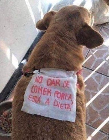 elespacioviral's tweet photo. Desde hoy soy este https://t.co/7DTXuKqhsW