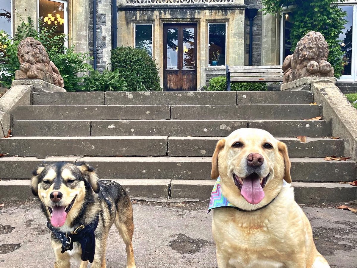 Dog friendly Attractions in Cardiff

With mountains to climb, history to explore, and beautiful beaches to roam, there are so many things to do in Cardiff with a dog: ow.ly/NlGK50OGzaP

#DogFriendlyCardiff #Cardiff #DogsOfTheDiff #CardiffDogs #VisitCardiff