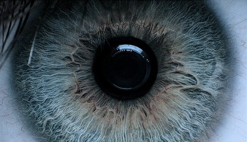 archillect's tweet photo. https://t.co/vVAZcvi8pu