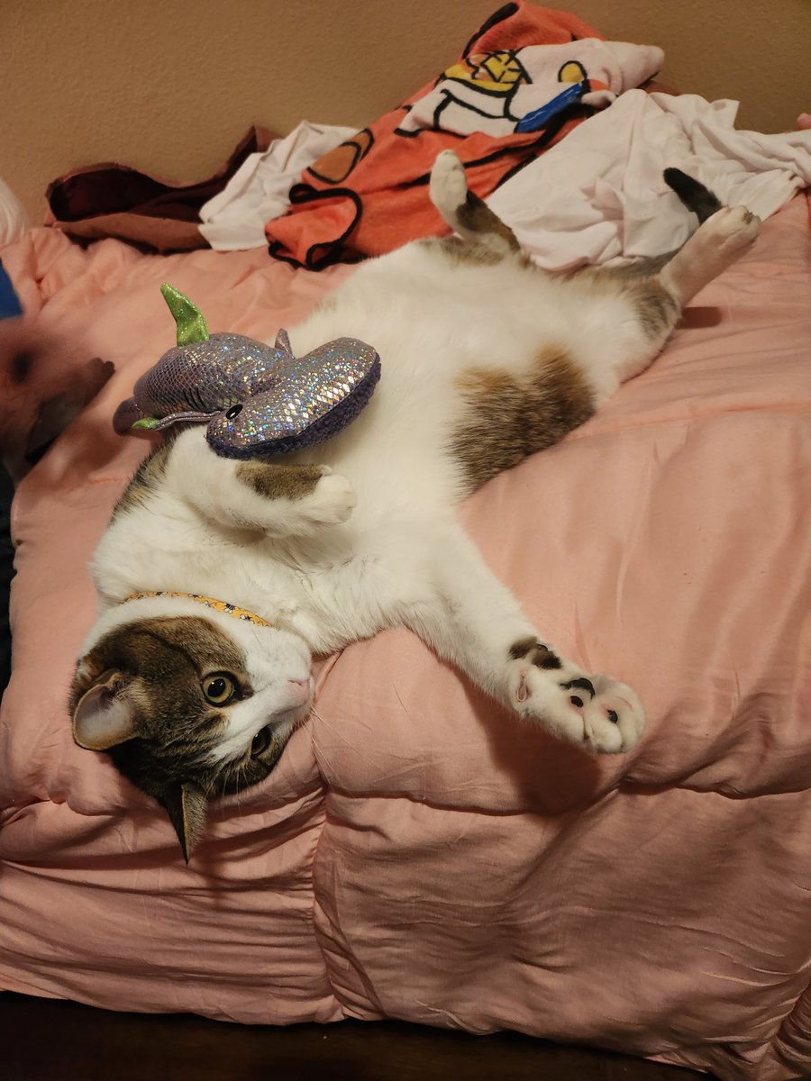 HELLO I LIVE!! happy new year!