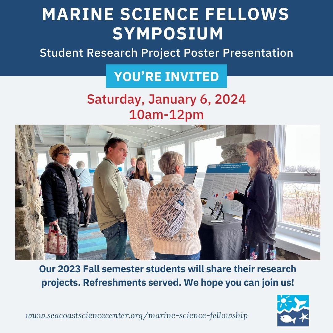 SeacoastSciCtr's tweet photo. Participants in our Marine Science Fellows program will present their individual research projects to family, friends &amp; the public this Saturday, January 6th from 10am-12pm https://t.co/gAfucVur10 #oceaneducation #inspiringconservation #marinescience #handsonlearning https://t.co/CNpZfDiMcN