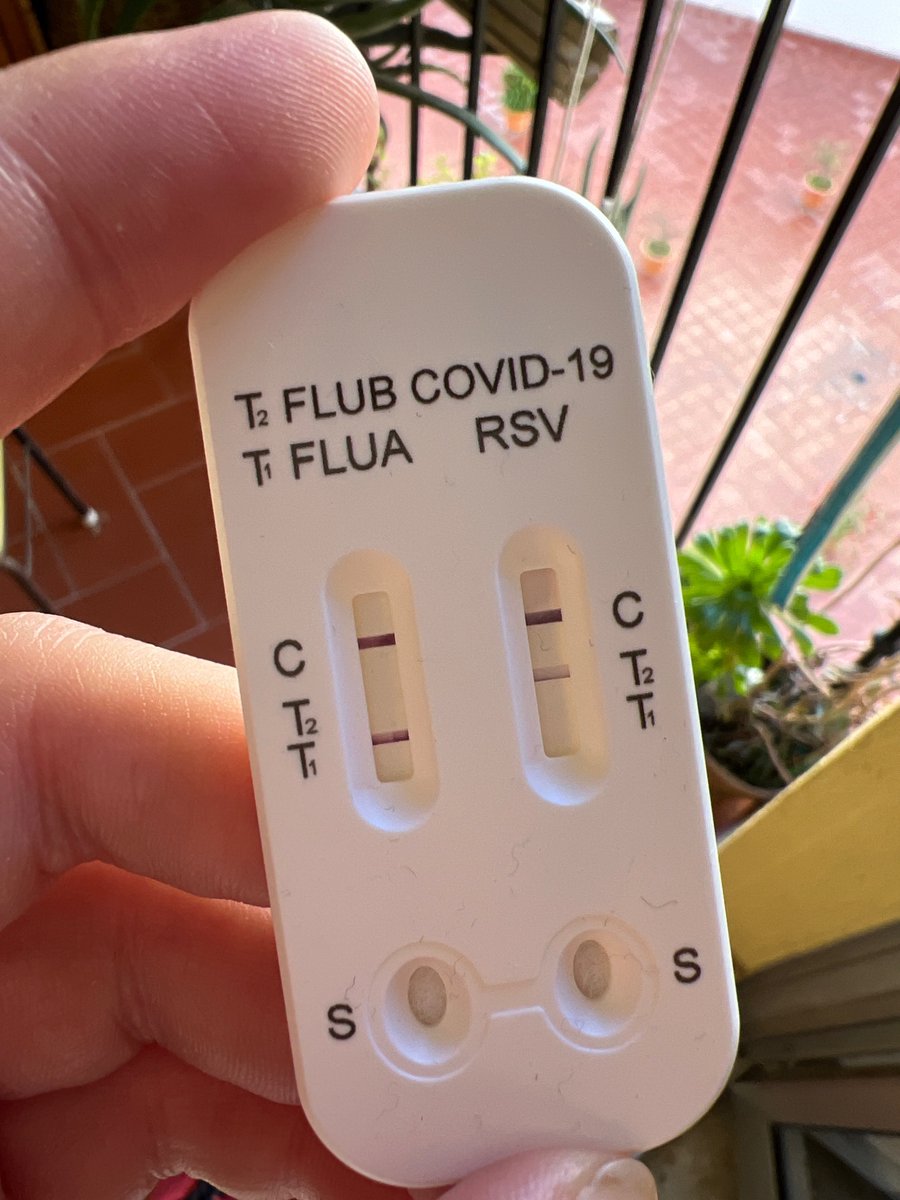 Micro Gaia (José Gallego) 🦠🧫 tweet media