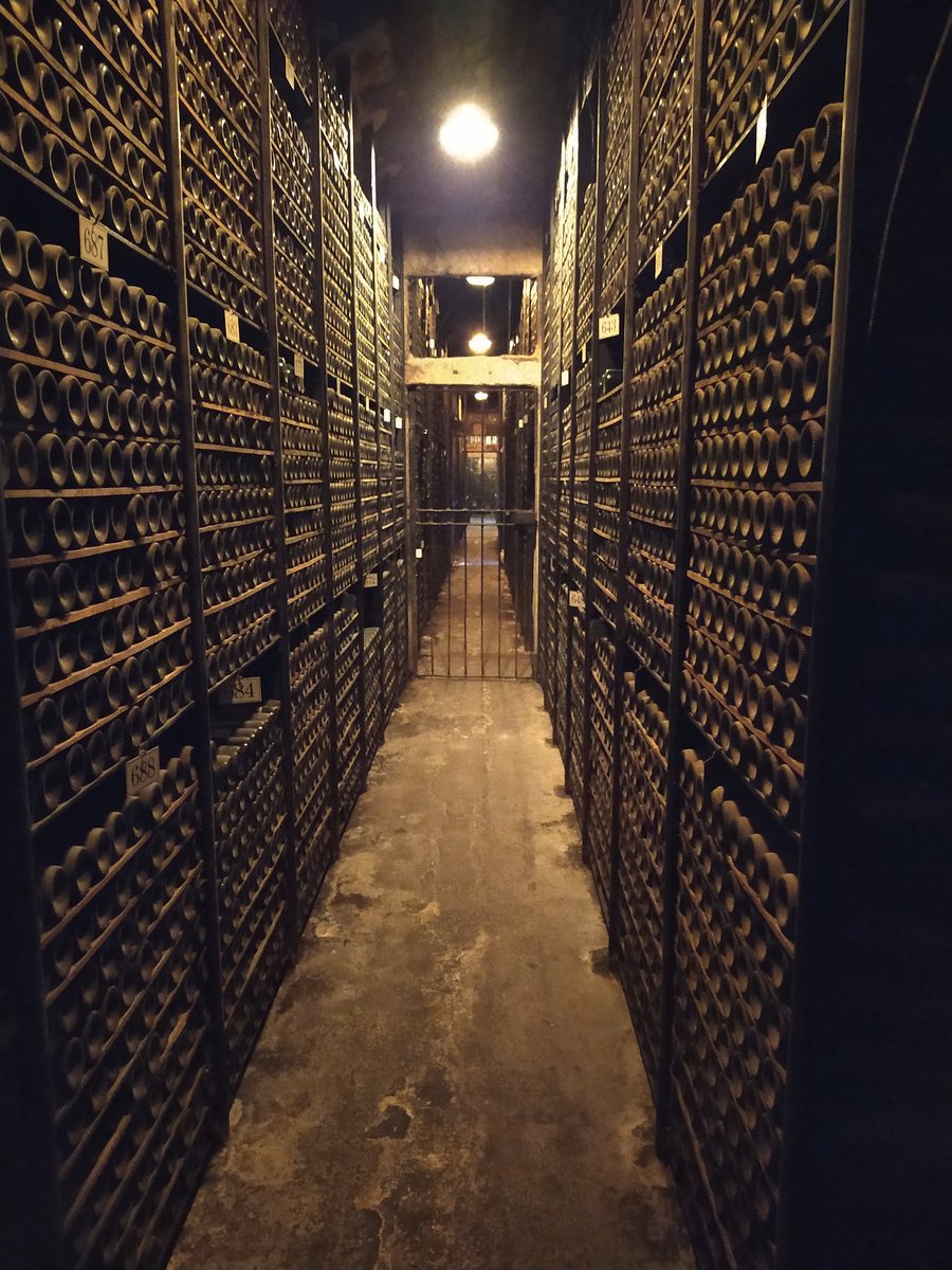 _BruceWine's tweet photo. Acabando el año visitando @marquesderiscal todo un espectáculo su hotel @Marriott, bodega y viñedos. https://t.co/FbjEV7jyxu