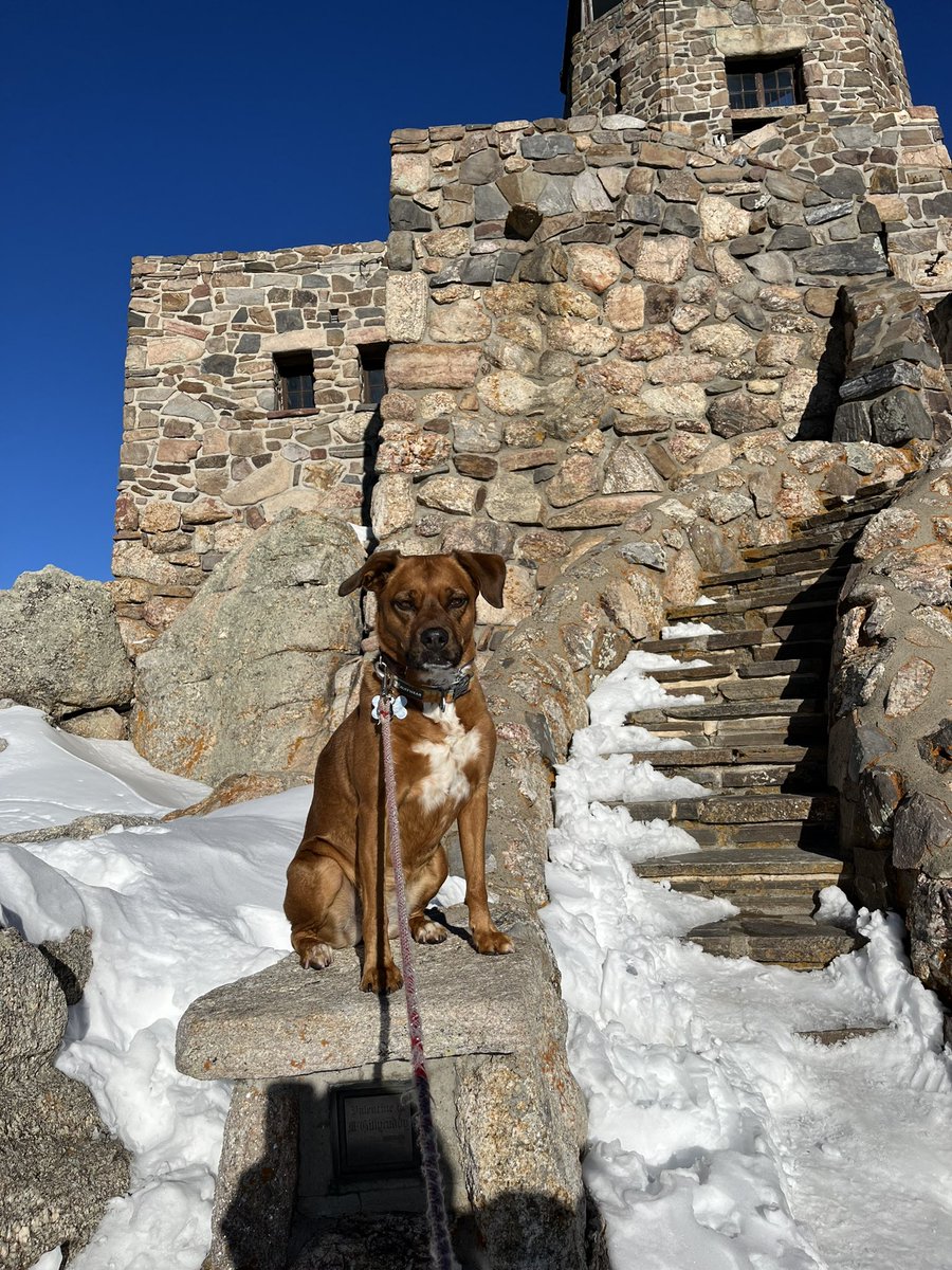 VoegeliD's tweet photo. Daisy and I starting off our new year on top! ⛰️ Black Elk Peak- Custer State Park - #SDEdChat https://t.co/b9i27A4MwR